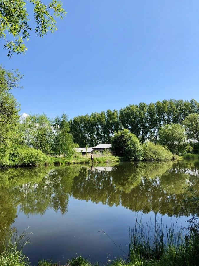 Koza I Brzoza, Domki Z Kontenerow Piechowice  Esterno foto