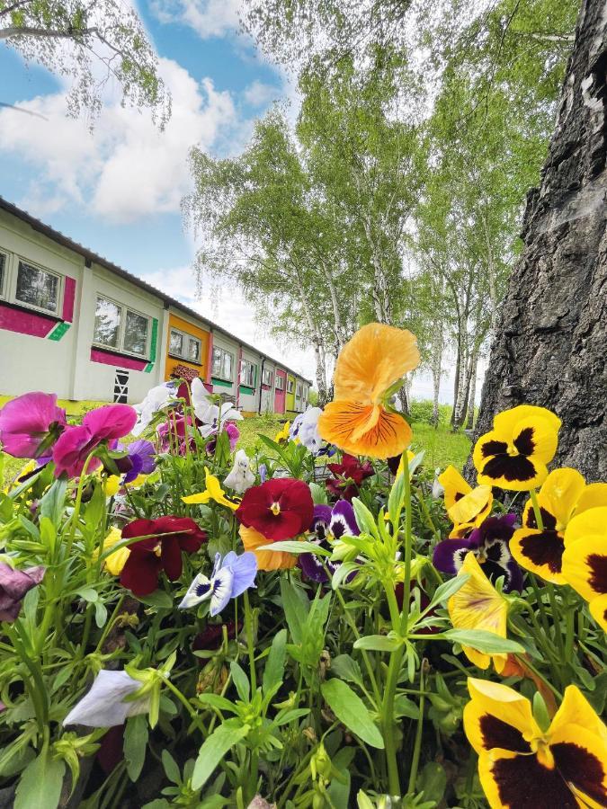 Koza I Brzoza, Domki Z Kontenerow Piechowice  Esterno foto
